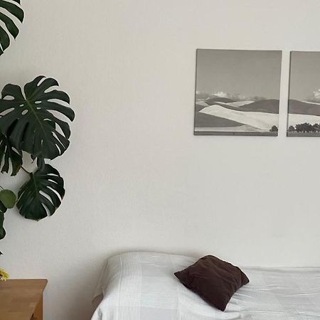 Fewo Oberhausen-Alstaden Oberhausen  Eksteriør bilde